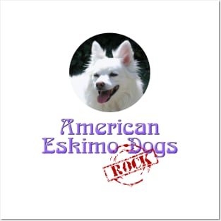 American Eskimo Dogs Rock Posters and Art
